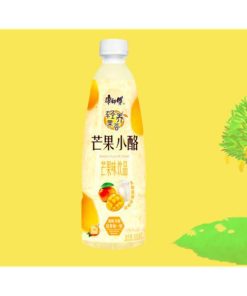 奇妙零食-康师傅轻养果荟芒果小酪500ml